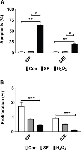 Click to Enlarge View Fig 1