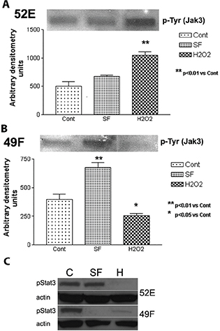 Click to Enlarge View Fig 3