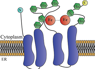 Fig 1