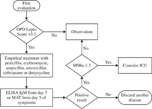 Leptospirosis: Causes, Symptoms, Diagnosis & Treatment